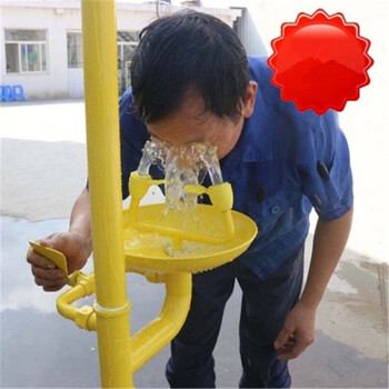 喷淋立式洗眼器装置双口冲淋器洗眼机碳钢复合落地洗眼器