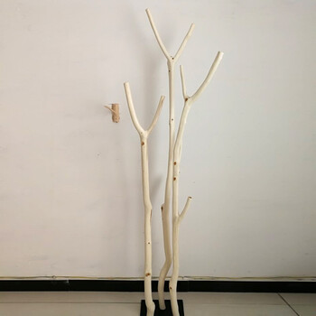 特惠衣帽架整棵树实木落地北欧简约树形衣架客厅卧室创意树干衣架 016