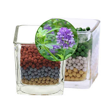 鱼缸造景 水草种子 水族箱前景矮牛毛水草种子 对叶草坪种子 追云草桌