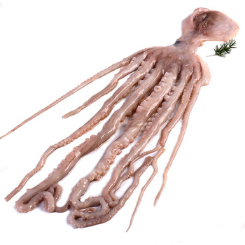 【冰鲜】渔传播 活杀 八爪鱼 500g 净膛后350-450g 1份 海鲜水产 火锅