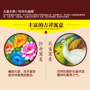 
                                        5D满钻钻石画孔雀花开富贵十字绣新款客厅大富大贵尖顶魔方圆钻钻石绣风景 10117 异形钻+尖顶圆钻 满钻 120x56                
