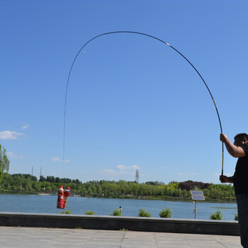 锐普(ruipu)钓鱼竿鱼杆超轻硬台钓竿渔具套装 碳素长节鱼竿全套组合