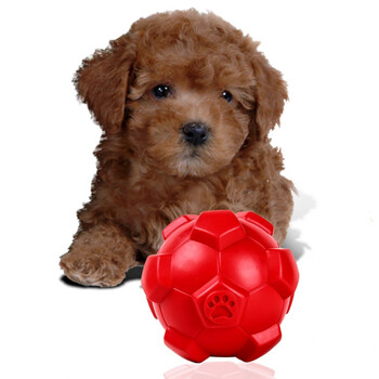 宠物玩具 磨牙猫狗玩具 狗啃咬训导玩具 直径16cm