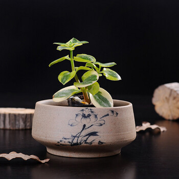 花目蓝粗陶陶瓷花盆中国风桌面办公室书房多肉植物盆栽花器土陶盆器中式瓷器陶罐荷花系列 宽12x高6cm 图片价格品牌报价 京东