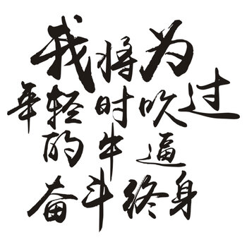 帝图车贴 我将为年轻时吹过的牛逼奋斗终身励志个性创意汽车贴纸车门