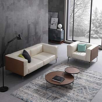 北欧沙发 小户型现代简约客厅个性沙发组合 双人