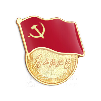 徽章 胸章 党徽 铜蝴蝶扣 扣磁扣 安全扣 全滴塑标准新党徽为人民服务
