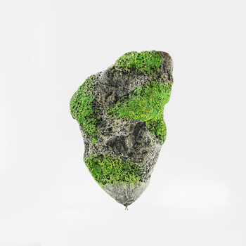 浮石悬浮石鱼缸造景仿真漂浮石水族装饰造景石仿真水草 小号