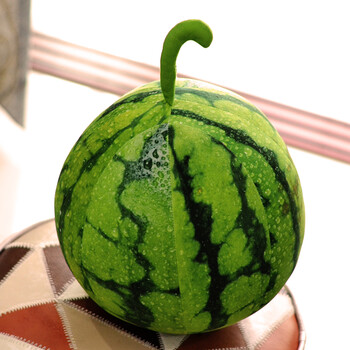 仿真白菜抱枕蔬菜抱枕靠垫创意食物西兰花抱枕毛绒玩具生日礼物女