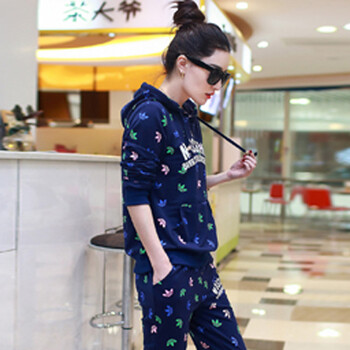 艾语卫衣 女秋装新款休闲套装女士韩版潮连帽长袖修身运动服两件套潮WY811 深蓝色 M