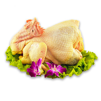 皖南老母鸡一只净重约1kg 农家散养土鸡肉 2年老母鸡 柴鸡跑山_ 8折