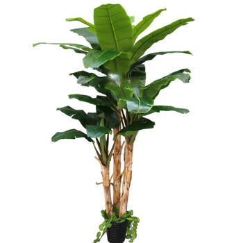 植物假树香蕉橡胶热带芭蕉树家居装饰大型室外绿植仿真假树 3米芭蕉树