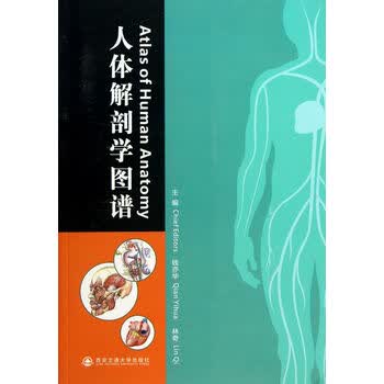 人体解剖学图谱 atlas of human anatomy