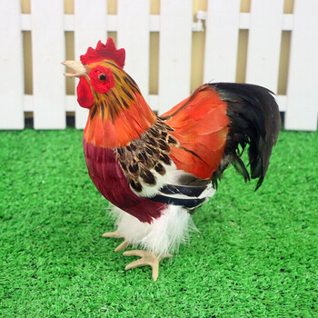 仿真动物玩具早教认知公鸡母鸡会叫玩具鸡模型摆件标本打鸣鸡 张嘴