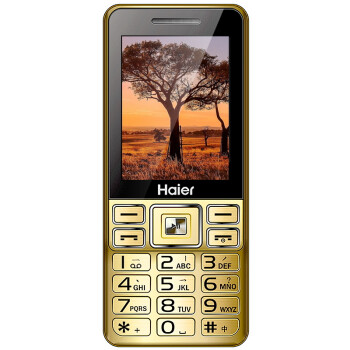 海尔（Haier）M319 移动/联通2G 老人手机 樽金