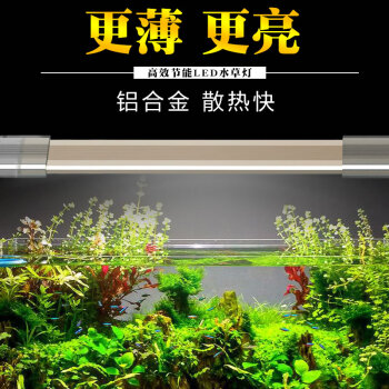 佳璐鱼缸灯水族箱led灯小鱼缸灯水草灯鱼缸照明led小夹灯adp0j 2 5w 适合28 32cm缸 图片价格品牌报价 京东