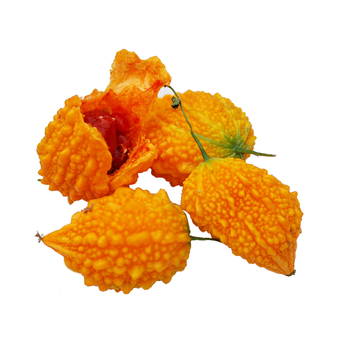 宜统山果 新鲜蔬菜金癞瓜 1.5kg