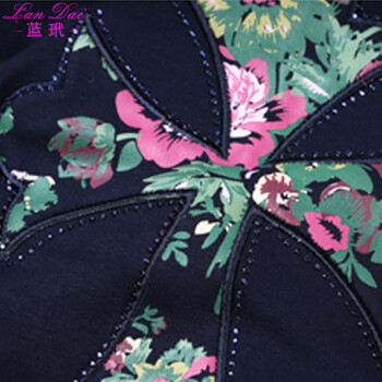 蓝玳 2015春秋新款拼接卫衣时尚女休闲长袖运动套装8833 深蓝色 L
