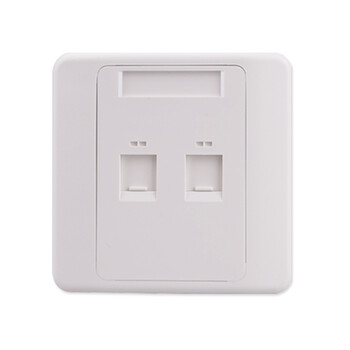 panduit 美国泛达 86型双口网络模块面板 模块网线插座cfpl86f2saw