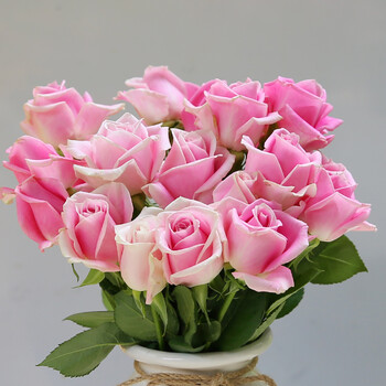 鲜花玫瑰花花束基地直发云南昆明插花20支同城速递批发一扎 迷恋18支