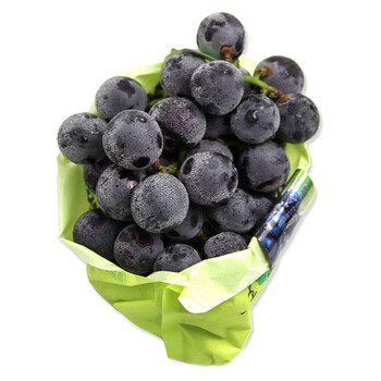 黑藤巨峰葡萄新鲜水果 2kg 非上海夏黑葡萄马陆葡萄