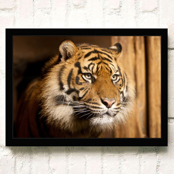 定制下山虎挂画上山虎镇宅国画装饰画老虎玄关猛虎下山图山水画 柠檬