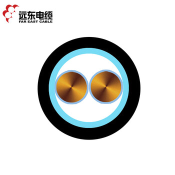 远东电缆 YJV22-2*6铜芯钢带铠装电力电缆 1米【有货期50米起订不退换】