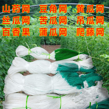 鑫琪三木园艺植物爬藤网山药网豆角网黄瓜网攀爬蔬菜瓜果种植百香果