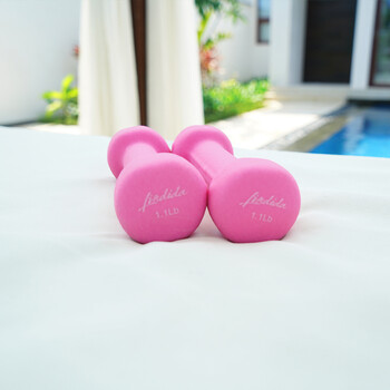 林小达lindida女士小哑铃一对家用健身瑜伽塑臂瘦臂儿童男女通用 粉红