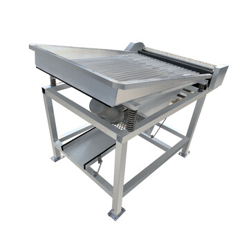 全自动毛豆剥壳机去皮机豌豆脱壳机蚕豆剥皮机商用剥豆机剥毛豆机