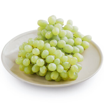 新疆无核白葡萄1.5kg 新鲜吐鲁番无籽青提子水果 顺丰 3斤