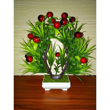 樱桃红盆栽【图片 价格 品牌 报价】-京东