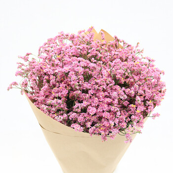 粉色和白色满天星的花语(白色满天星和粉色玫瑰花的花语是什么)