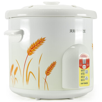 
                                        天际(TONZE)ZZG-W550T电炖锅煮粥锅5L                