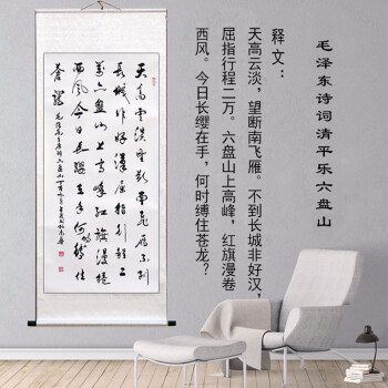 书法作品客厅书房竖款励志字画茶楼茶室卷轴画已装裱 天高云淡望断南