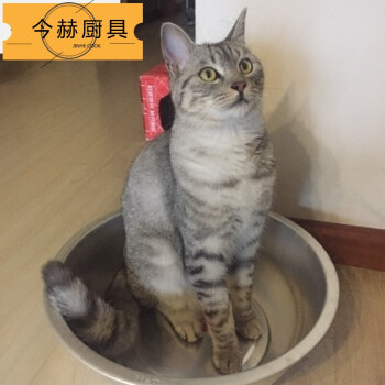 猫锅猫窝纯铝制猫用铝盆铝合金猫盆夏天乘凉避暑降温散热大号宠物zd 内径25厘米特厚铝盆 图片价格品牌报价 京东