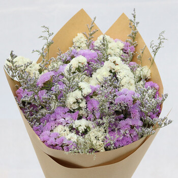 勿忘我情人草干花花束真花鲜花装饰水晶草混搭家居摆设 白勿浅紫