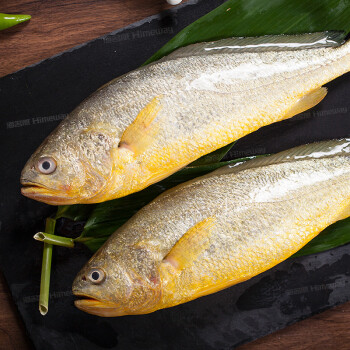 海名威 冷冻黄花鱼600g/条 大黄鱼 深海鱼 生鲜鱼类 海鲜水产