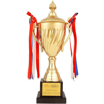 刻沫 金属奖杯定制 镀金工艺品订做足球篮球羽毛球运动会奖杯年会奖牌