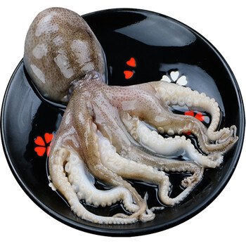 渔人百味 活冻八爪鱼(章鱼) 1000g 袋装 烧烤火锅 短腿章鱼1000g