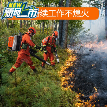 风力灭火机汽油吹风机大功率灭火器背负式吹枣机道路吹树叶吹雪机c