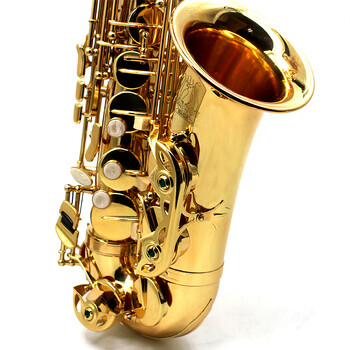 初学者演奏萨克斯乐器降e调中音萨克斯风管考级 鹦鹉电泳金中音降e