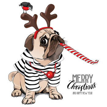 宠物店沙皮狗墙壁贴画 客厅沙发背景儿童房床头卧室装饰墙贴贴纸 调皮