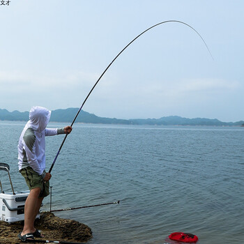 渔具套装竞技组合钓鱼超轻手竿鲤鱼竿19调垂钓碳素钓鱼竿 窃衣6.