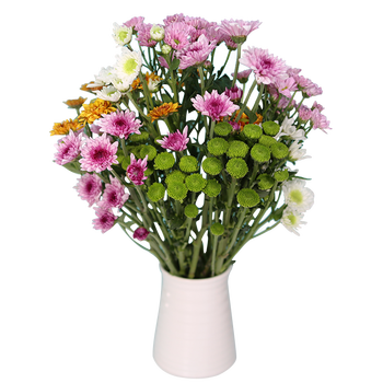 一扎10支同城速递插花家用空运 紫色 5支多头 不含花瓶