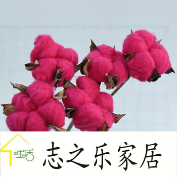 客厅装饰插花拍摄道具艺术手工仿真花复古真花永生花 【彩色棉花单支