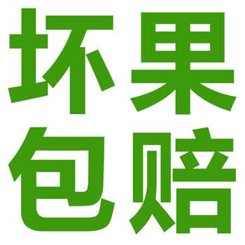 坏果包赔 石榴 产品