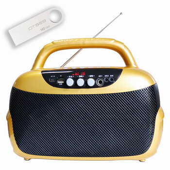 手提户外蓝牙音箱 小型k歌广场舞音响麦克风低音大声充电便携 金色