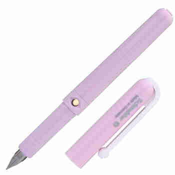 施耐德（Schneider）BK410 马卡龙学生书写练字办公用笔 德国产钢笔EF尖0.38 芭比粉