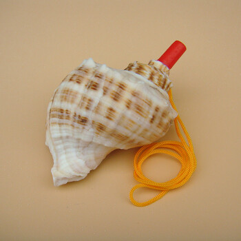 响螺号角贝壳工艺品创意礼物儿童玩具可吹摆件 鸿福螺海螺号9-11厘米